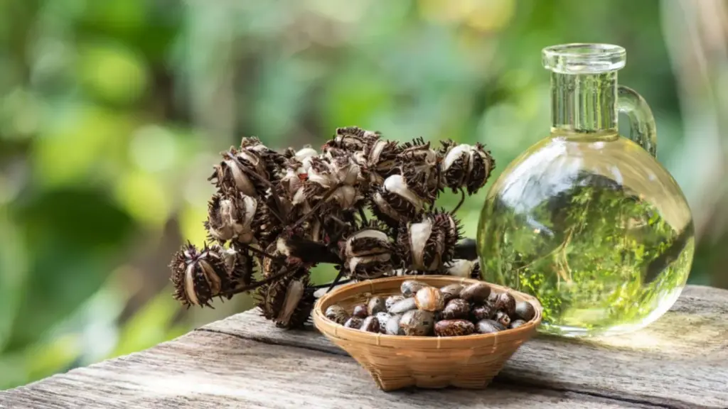 7 Amazing Health Benefits of Castor Oil You Should Know